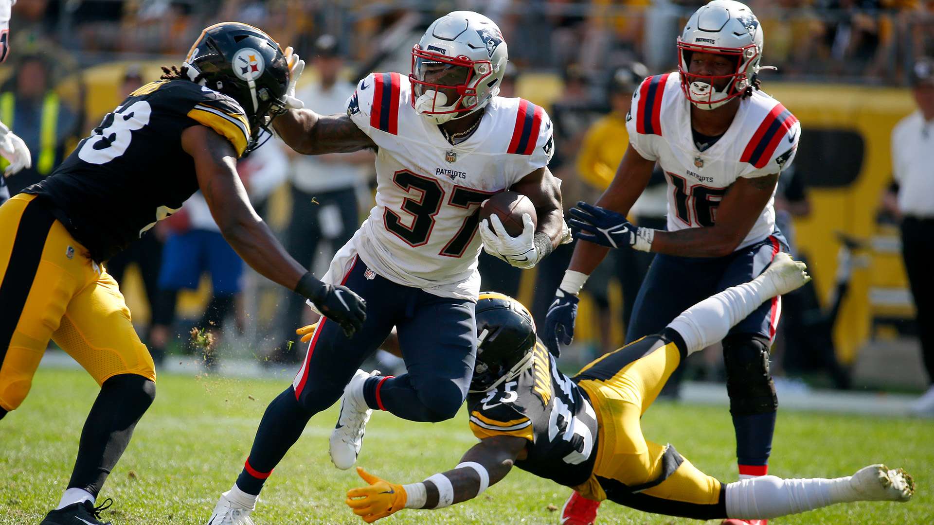 庭氛围中 庭氛围中