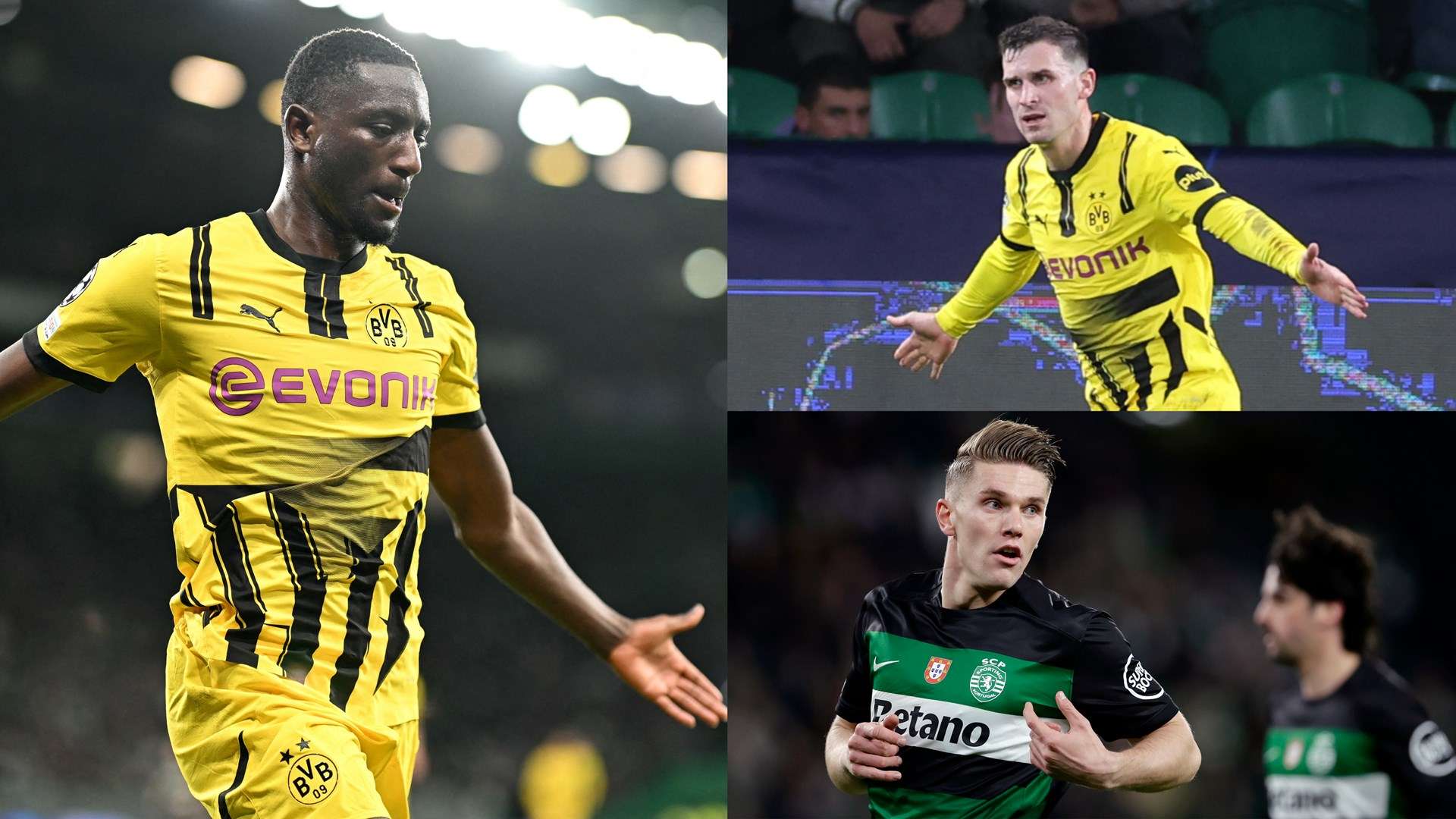 年轻球员的 年轻球员的