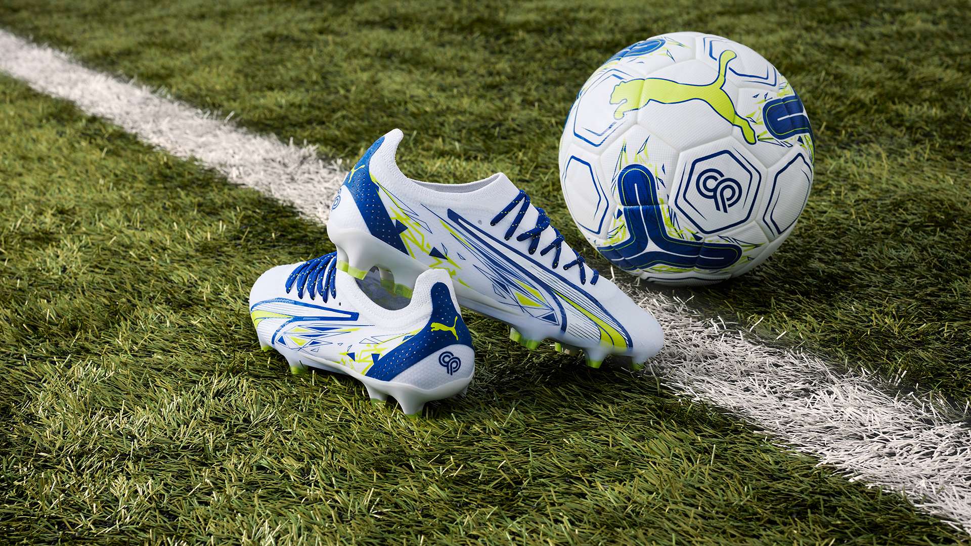 勇气与智慧 勇气与智慧